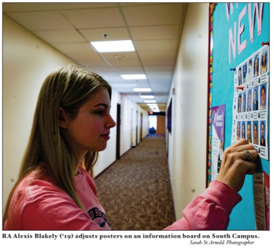 Screen Shot 2018-02-04 at 11.44.49 PM